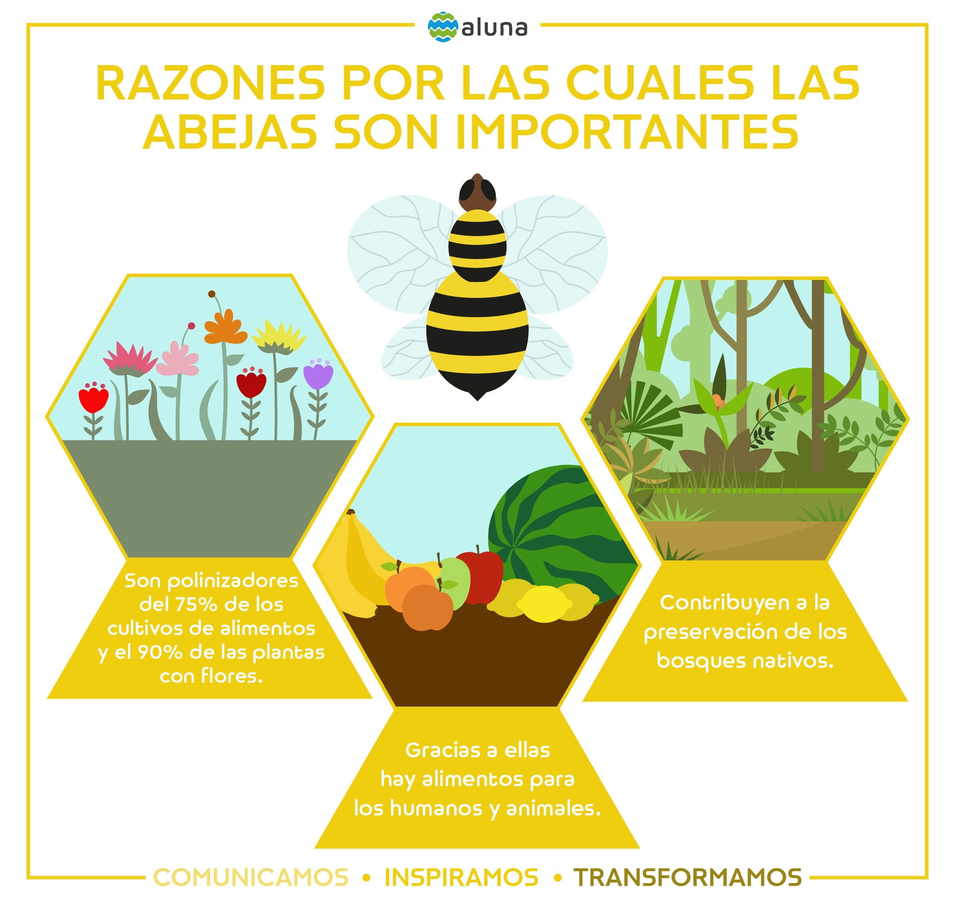 ¡Y no fue la Abeja Maya!: Apicultura que protege la Sierra Nevada de ...