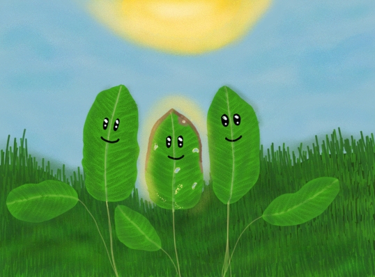 LA HOJA IMPEFECTA DIBUJO