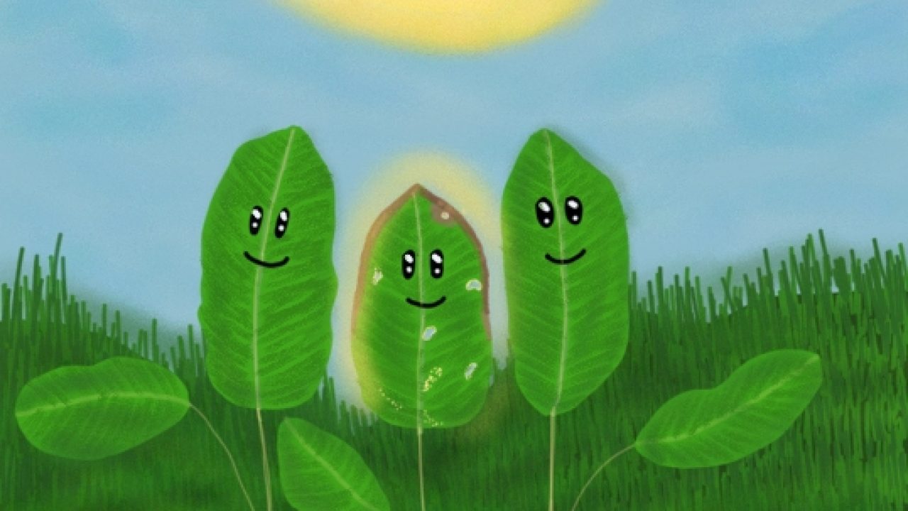 LA HOJA IMPEFECTA DIBUJO